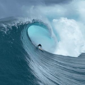 Meet your Posher, Jackson